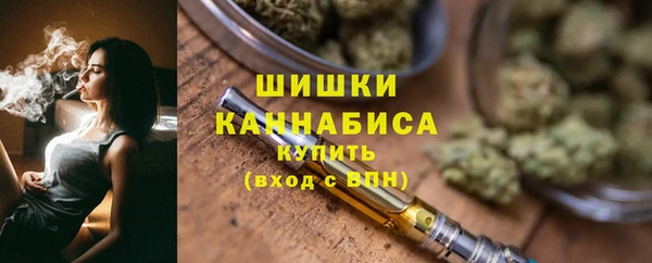 стафф Зерноград