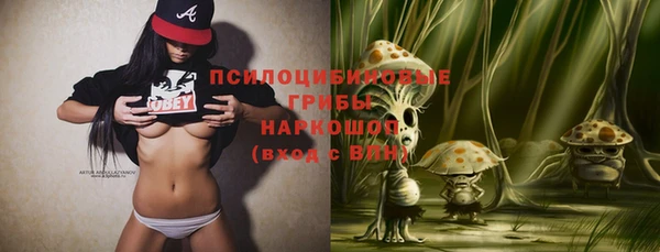 стафф Зерноград