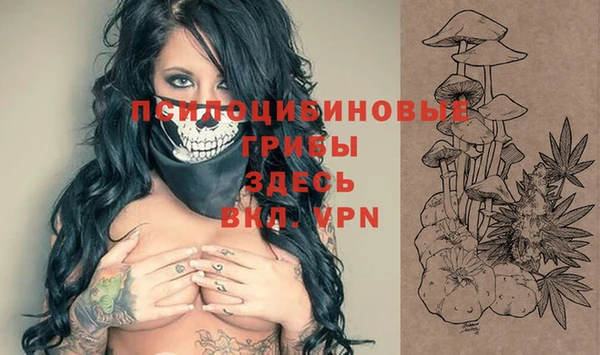 стафф Зерноград