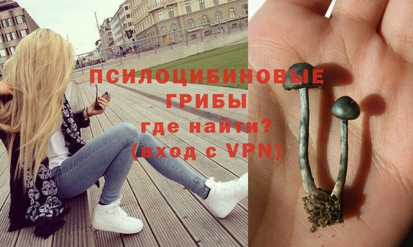 стафф Зерноград