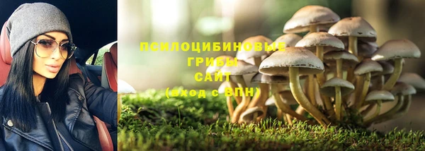 стафф Зерноград