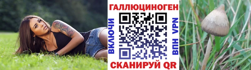 Купить где  Знаменск  Псилоцибиновые грибы мицелий 